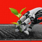 In Egypt, AgriCan’s robots make farming smarter, one field at a time