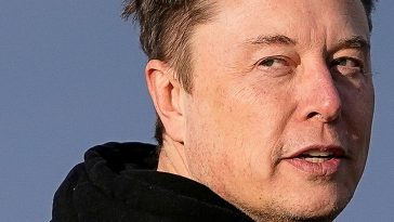 xAI, Elon Musk’s AI company, just purchased X, Elon Musk’s social media company