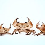 What It Takes to Fix a “Mean” Workplace