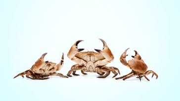 What It Takes to Fix a “Mean” Workplace