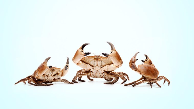 What It Takes to Fix a “Mean” Workplace