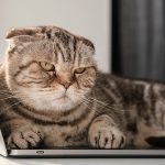 In a Slump at Work? Here’s How to Motivate Yourself.