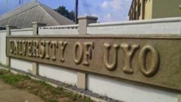 Nigeria has food but no food security – UNIUYO VC