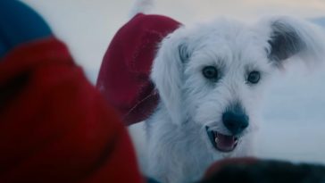 Krypto Shines in Brand New Footage From James Gunn’s Superman