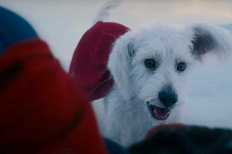 Krypto Shines in Brand New Footage From James Gunn’s Superman