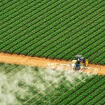 Japan rice crisis: Thailand spots exports opportunity on back of bumper production