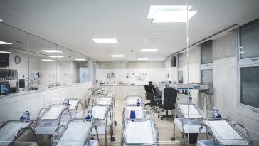 Précarité, infertilité, choix individuels… Pourquoi y a-t-il 25% de naissances de moins qu’il y a cinquante ans?