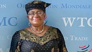 WTO warns US tariffs may shrink global trade