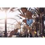 Experience Spring in Full Bloom at Four Seasons Hotel Westlake Village