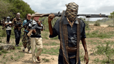 Vigilante groups kill 30 bandits in Zamfara ambush