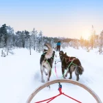 Saariselkä: Beyond the Arctic Circle