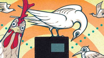 A new biosensor can detect bird flu in five minutes