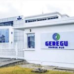 Geregu Power reports N13 billion profit in Q1 2025, posts N31.7 billion revenue