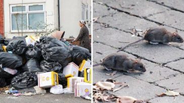British Army called in to help fight rats as piles of rubbish grow in Birmingham