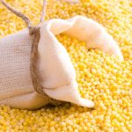 Millet mania: India’s Yellowfield pushes ancient grain as affordable, nutritious alternative