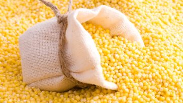 Millet mania: India’s Yellowfield pushes ancient grain as affordable, nutritious alternative