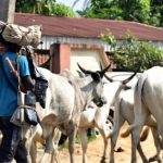 Armed herders attack two Benue LGs, kill family of eight, nine others
