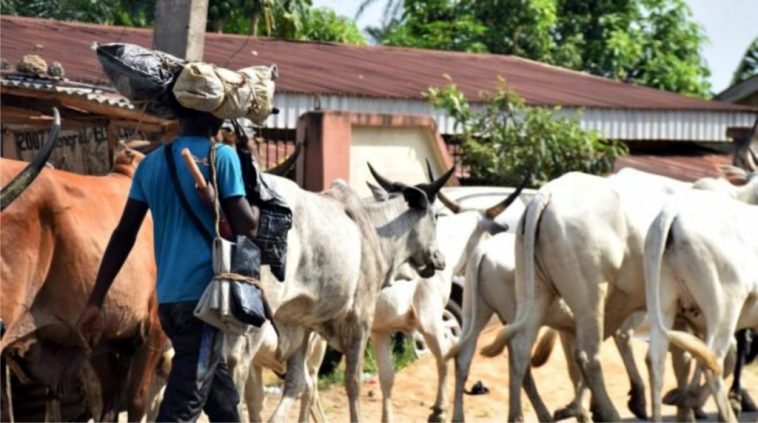 Armed herders attack two Benue LGs, kill family of eight, nine others