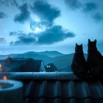 Novi okidači potrošnje: Nacionalna je šteta što turisti plaćaju mrak