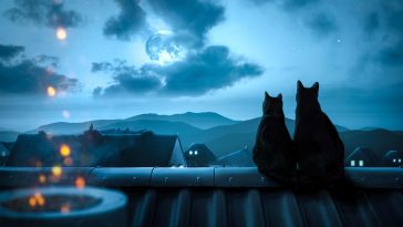 Novi okidači potrošnje: Nacionalna je šteta što turisti plaćaju mrak