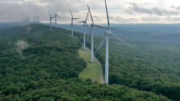 Trump’s Policy Pivot Kills $8 Billion Of Clean Energy Plans