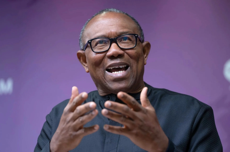 “In Nigeria, politicians pay youths N20,000 to insult those advocating for their future on social media” – Peter Obi
