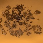 Through the Cracks: Unveiling the Truth in Silence