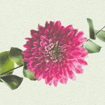 Mother’s Day Brunch at Zarah