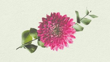 Mother’s Day Brunch at Zarah