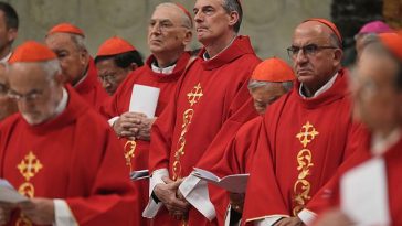 Cardinals Gather to Choose Pope Francis’ Successor