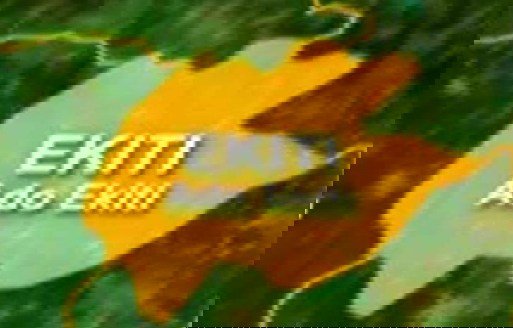 Organised Labour decry persistent killings of farmers by herders