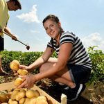 ​Več kot 50 milijonov evrov za kmete: preverite, kateri razpisi so odprti