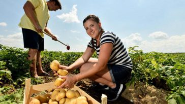 ​Več kot 50 milijonov evrov za kmete: preverite, kateri razpisi so odprti