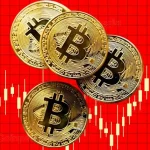 97% of Bitcoin Holders in Profit After $100K Surge: Will BTC Price Hold or Face Selling Pressure?