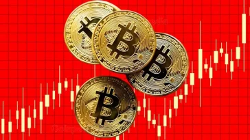 97% of Bitcoin Holders in Profit After $100K Surge: Will BTC Price Hold or Face Selling Pressure?