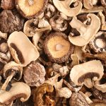 Mushroom mania: China’s Yalexian taps rising demand for natural and umami to boost exports
