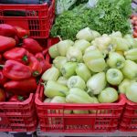 ‘Kada bi se zatvorile granice, za tjedan dana Hrvatska bi ostala bez hrane’