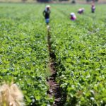 Riveria commits to driving agric innovation