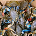 Best Internet Providers in Maryland