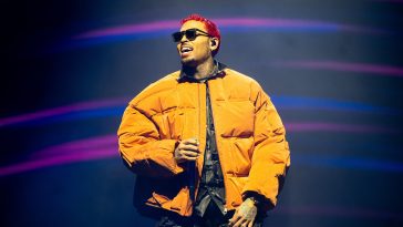 Who Is Abe Diaw? About the Chris Brown Assault Lawsuit & Accusations