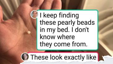 15 Photos That Captured Something Extraordinary