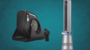 The 13 Best Fans, Editor Tested & Reviewed (2025)