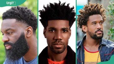 10+ timeless Afro hairstyles for guys: here is what you can do with your crown
