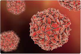Non-communicable Diseases accounts for 30% death annually in Nigeria – CAPPA