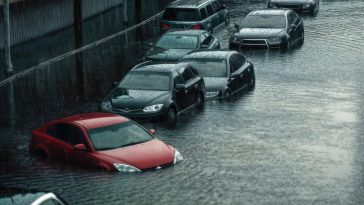 When the Flood Came, It Washed Our Relationship Away