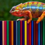 Microsoft raises posse to target dangerous Lumma malware