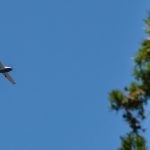 Devil Wears Prada Band Member & Dave Shapiro in San Diego Plane Crash: Report