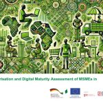 Characterisation and digital maturity assessment of MSMEs in Nigeria by GIZ/digital transformation center Nigeria