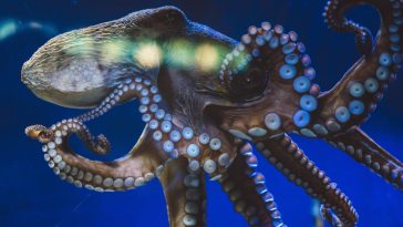 Google’s Jules AI coding agent built a new feature I could actually ship