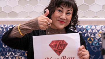 Delta flight delayed because 2 pigeons sneaked aboard a plane in Minneapolis